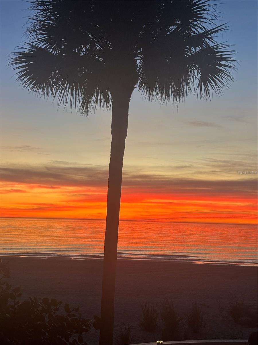 8640 W GULF Blvd TREASURE ISLAND, FL 33706