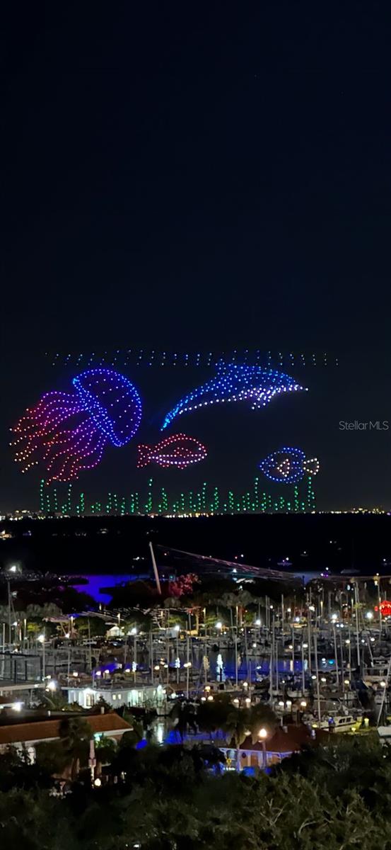 175 1ST St #1008 ST PETERSBURG, FL 33701