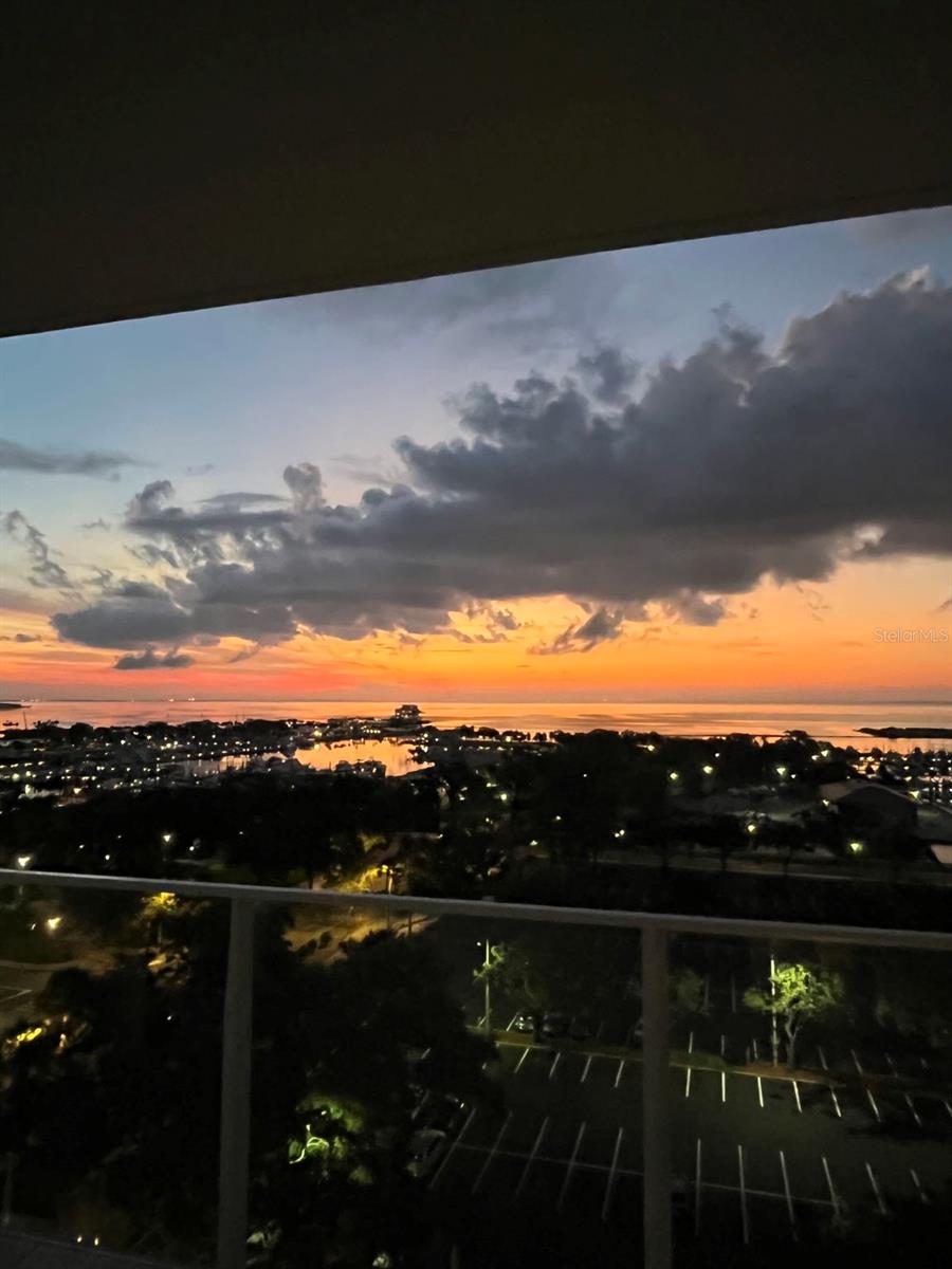 175 1ST St #1008 ST PETERSBURG, FL 33701