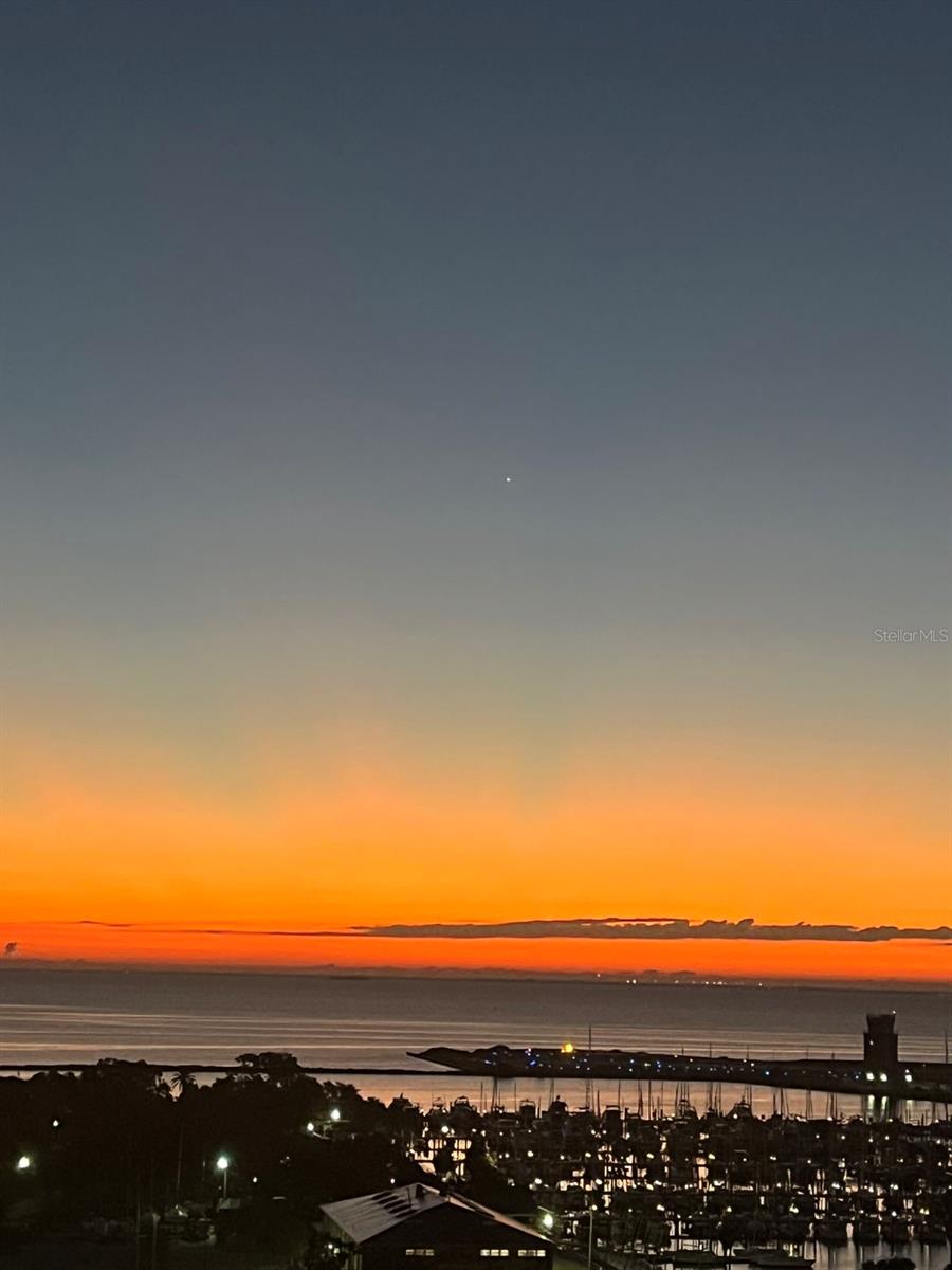 175 1ST St #1008 ST PETERSBURG, FL 33701