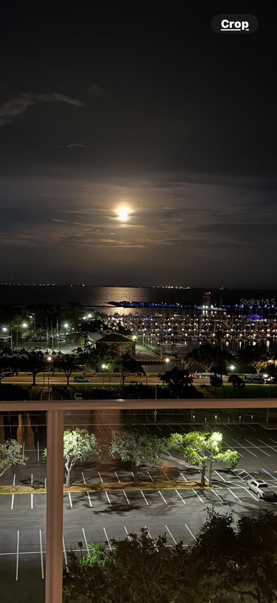 175 1ST St #1008 ST PETERSBURG, FL 33701