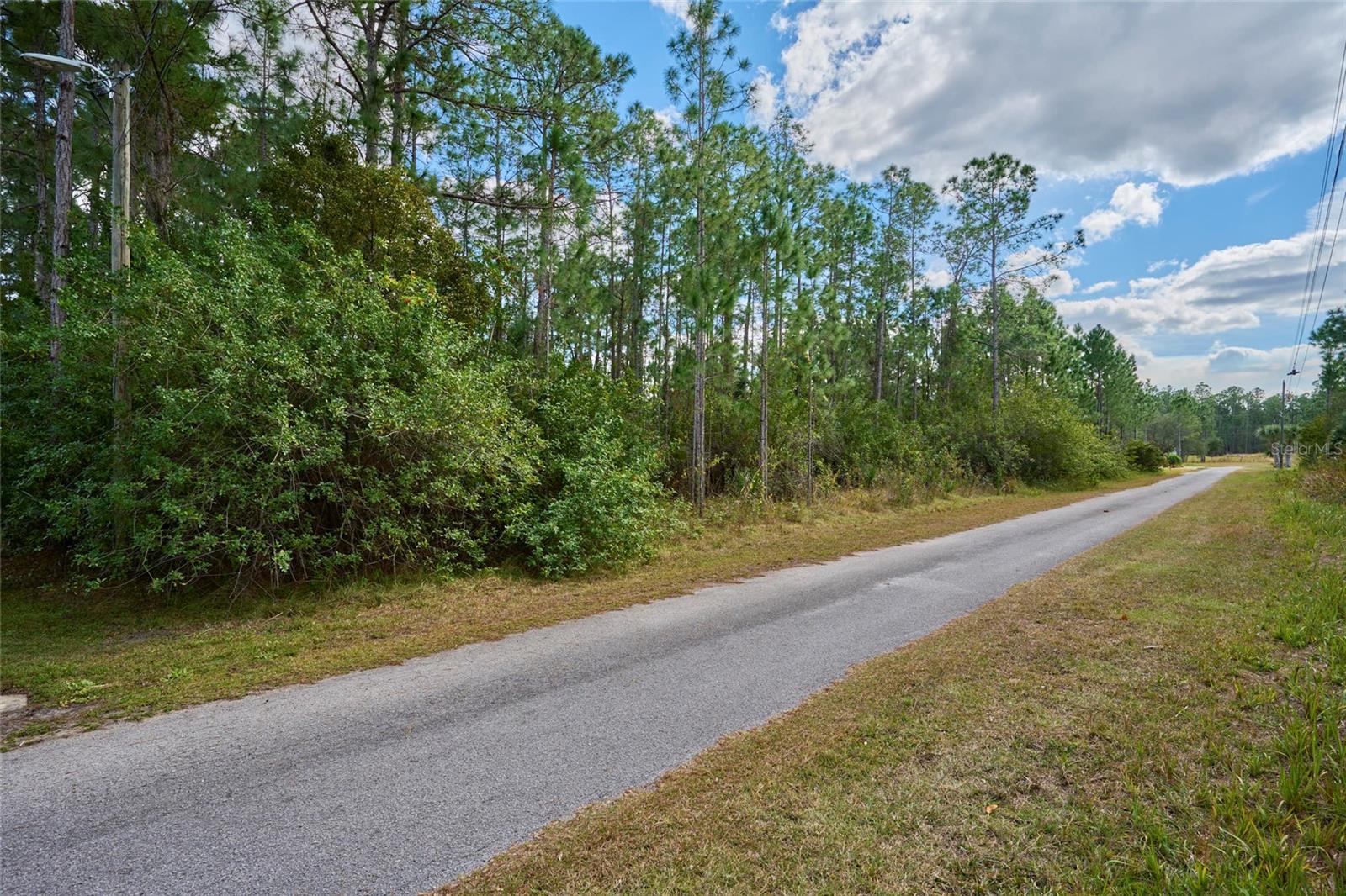 28 and 30 AMARYLLIS Dr INDIAN LAKE ESTATES, FL 33855