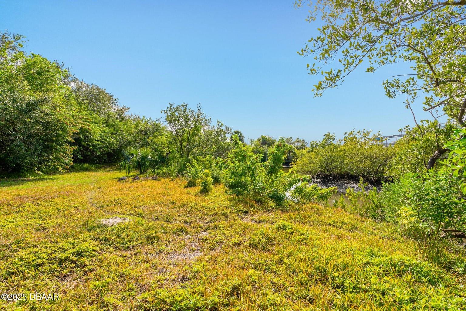 4770 S PENINSULA Dr PONCE INLET, FL 32127