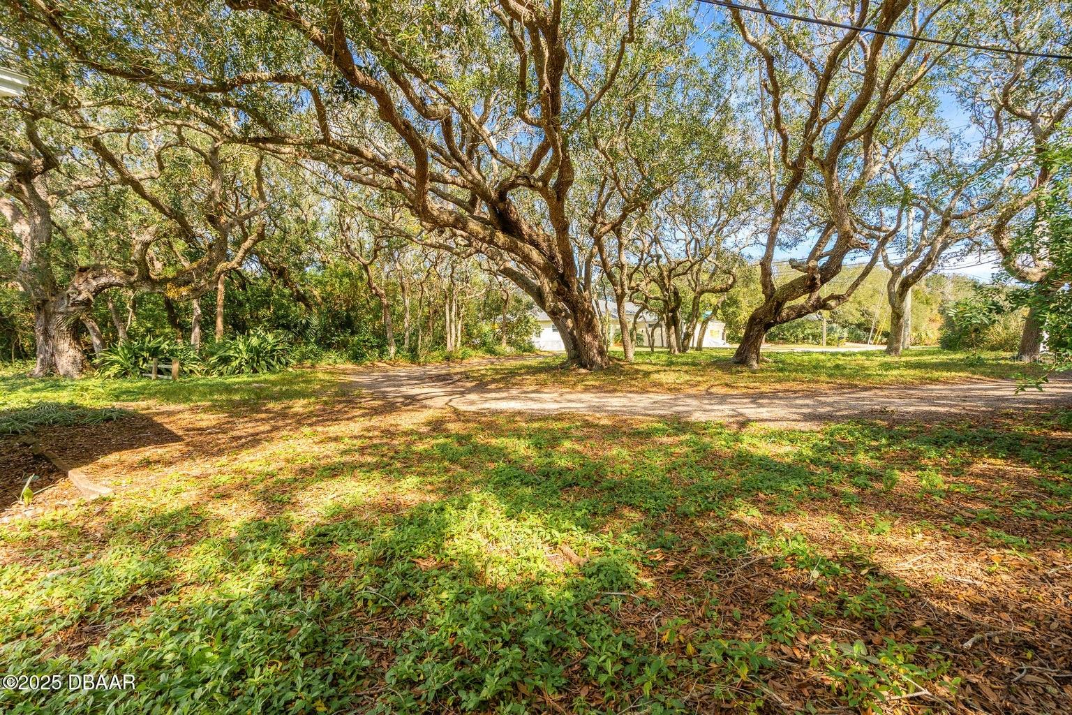 4770 S PENINSULA Dr PONCE INLET, FL 32127