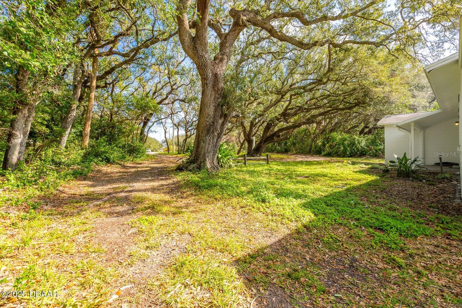 4770 S PENINSULA Dr PONCE INLET, FL 32127