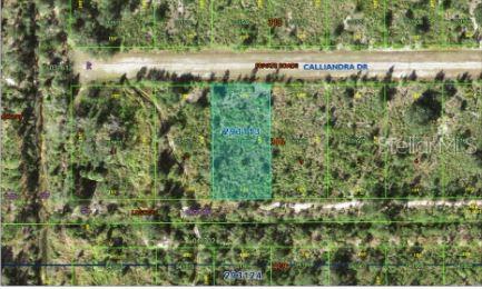 CALLIANDRA Dr INDIAN LAKE ESTATES, FL 33855