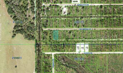CALLIANDRA Dr INDIAN LAKE ESTATES, FL 33855