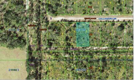 CALLIANDRA Dr INDIAN LAKE ESTATES, FL 33855