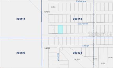 CALLIANDRA Dr INDIAN LAKE ESTATES, FL 33855