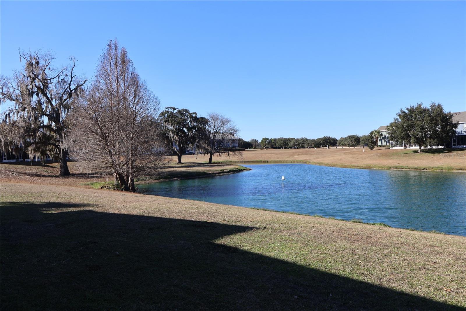 4953 SW 45TH Cir OCALA, FL 34474