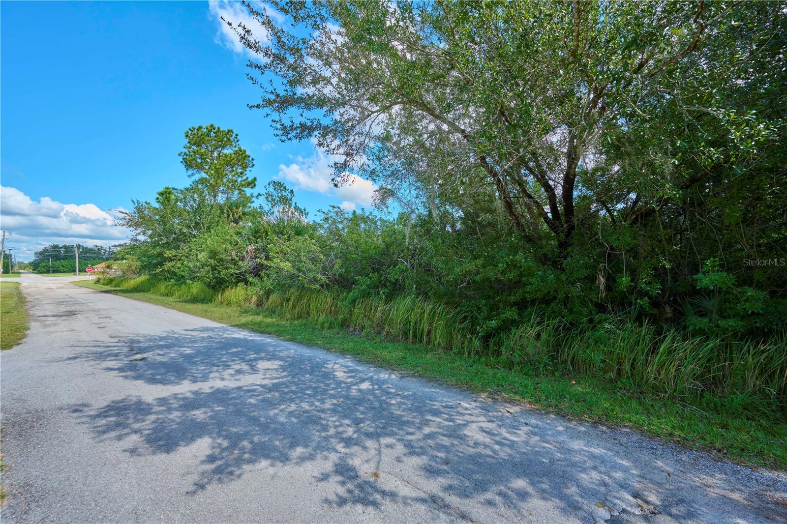 2 AMARYLLIS Dr INDIAN LAKE ESTATES, FL 33855