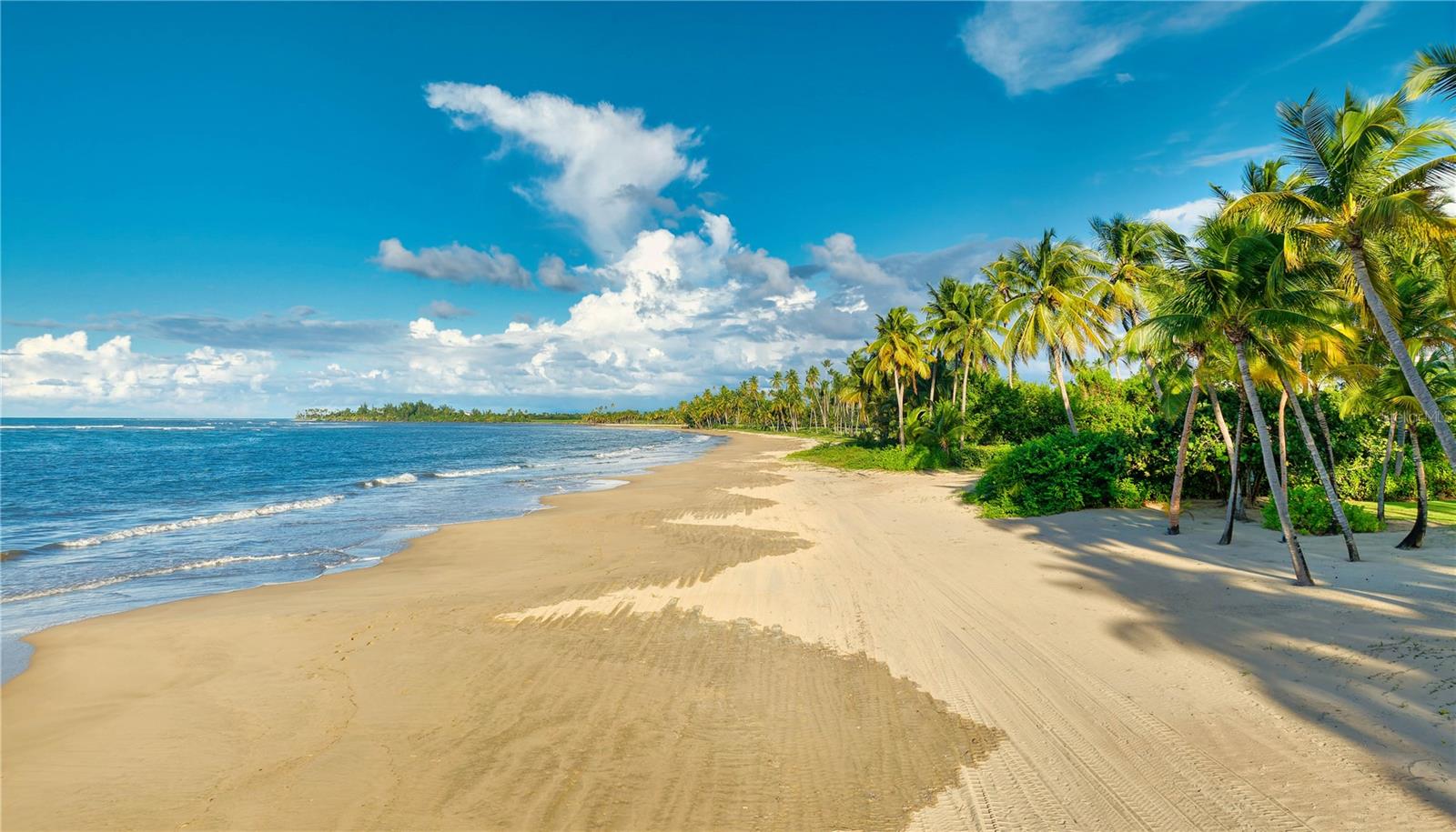 12 LAS ESTANCIAS RIO GRANDE, PR 00745