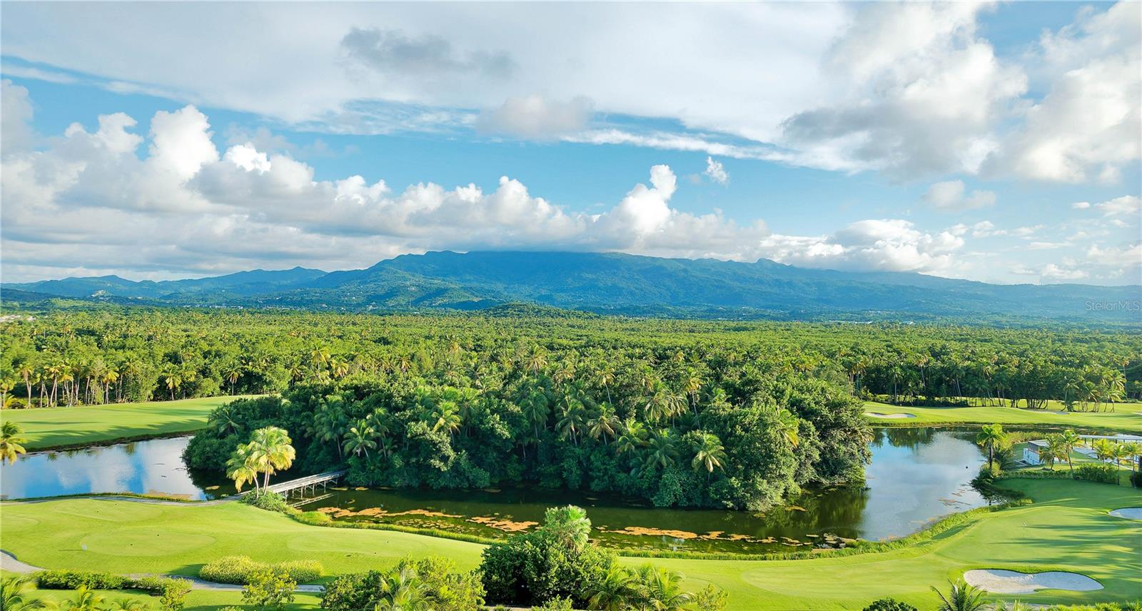 12 LAS ESTANCIAS RIO GRANDE, PR 00745