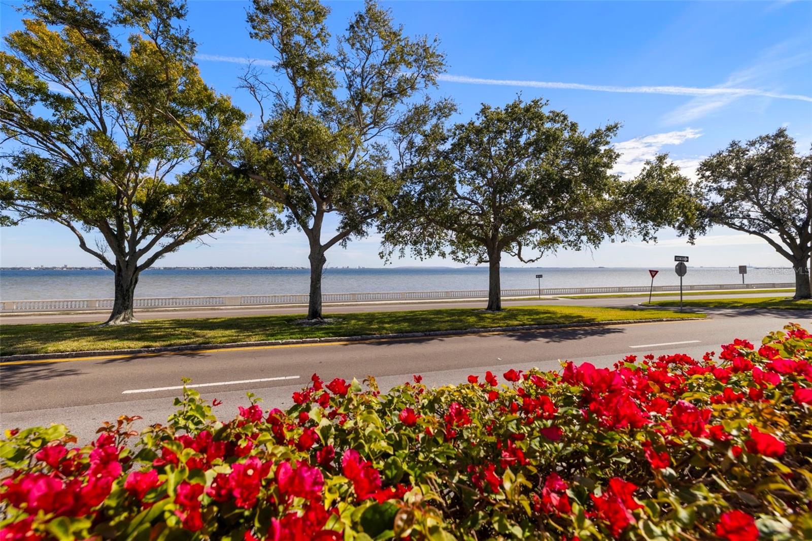 4015 BAYSHORE Blvd #10D TAMPA, FL 33611