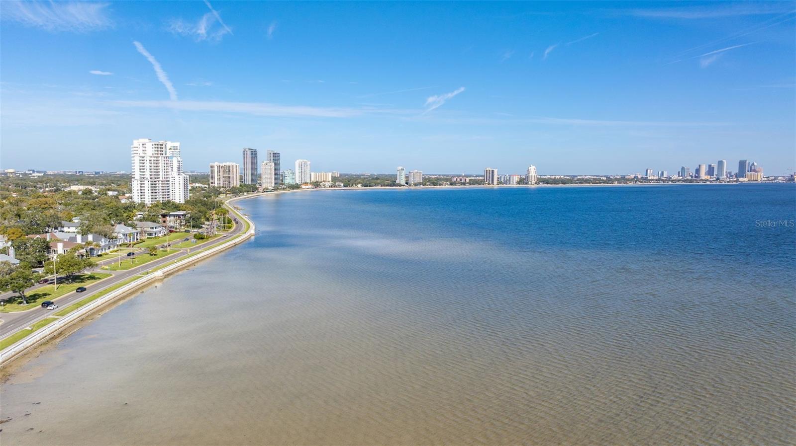 4015 BAYSHORE Blvd #10D TAMPA, FL 33611