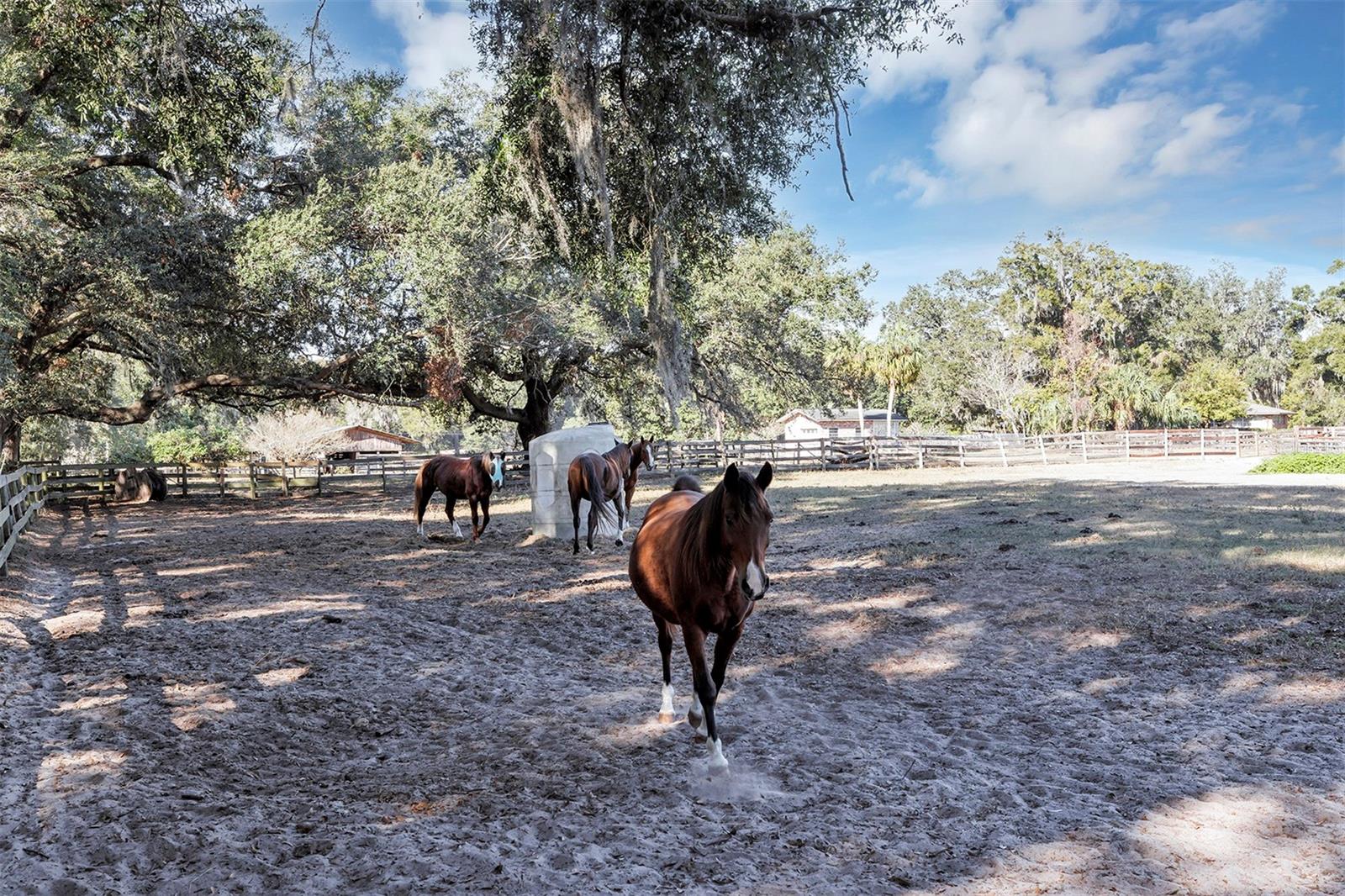 208 NE 70TH St OCALA, FL 34479