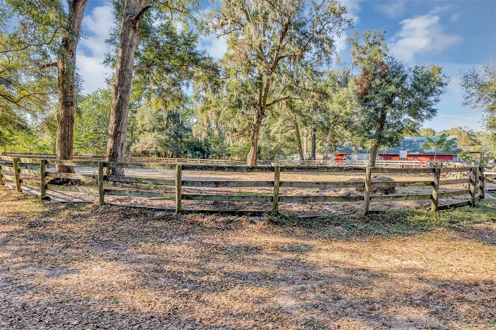 208 NE 70TH St OCALA, FL 34479