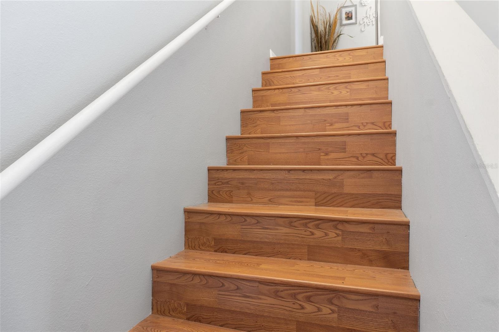 12231 ARMENIA GABLES Cir TAMPA, FL 33612