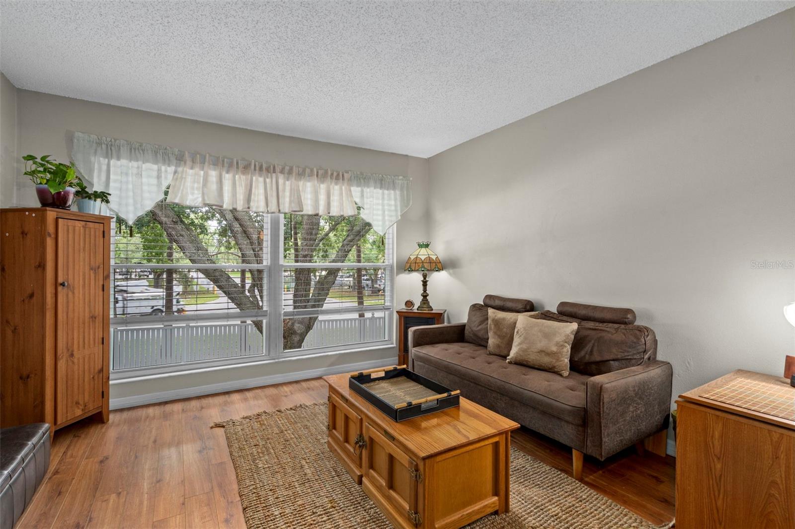4101 PASSPORT Ln #202 NEW PORT RICHEY, FL 34653