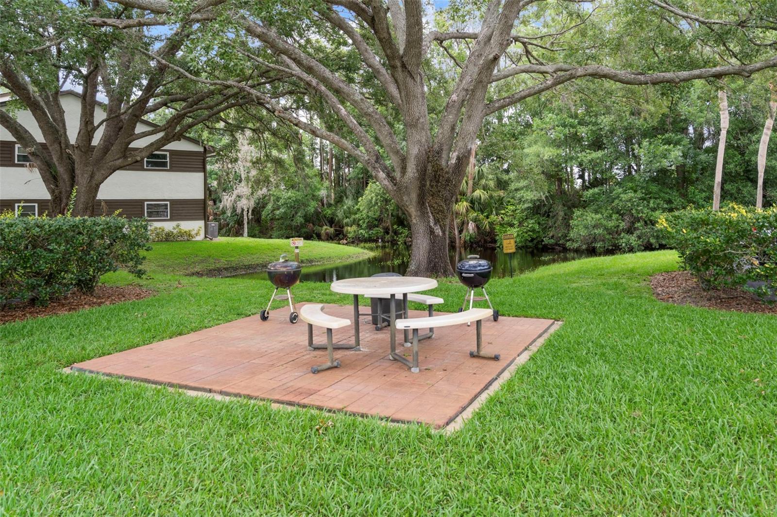 4101 PASSPORT Ln #202 NEW PORT RICHEY, FL 34653