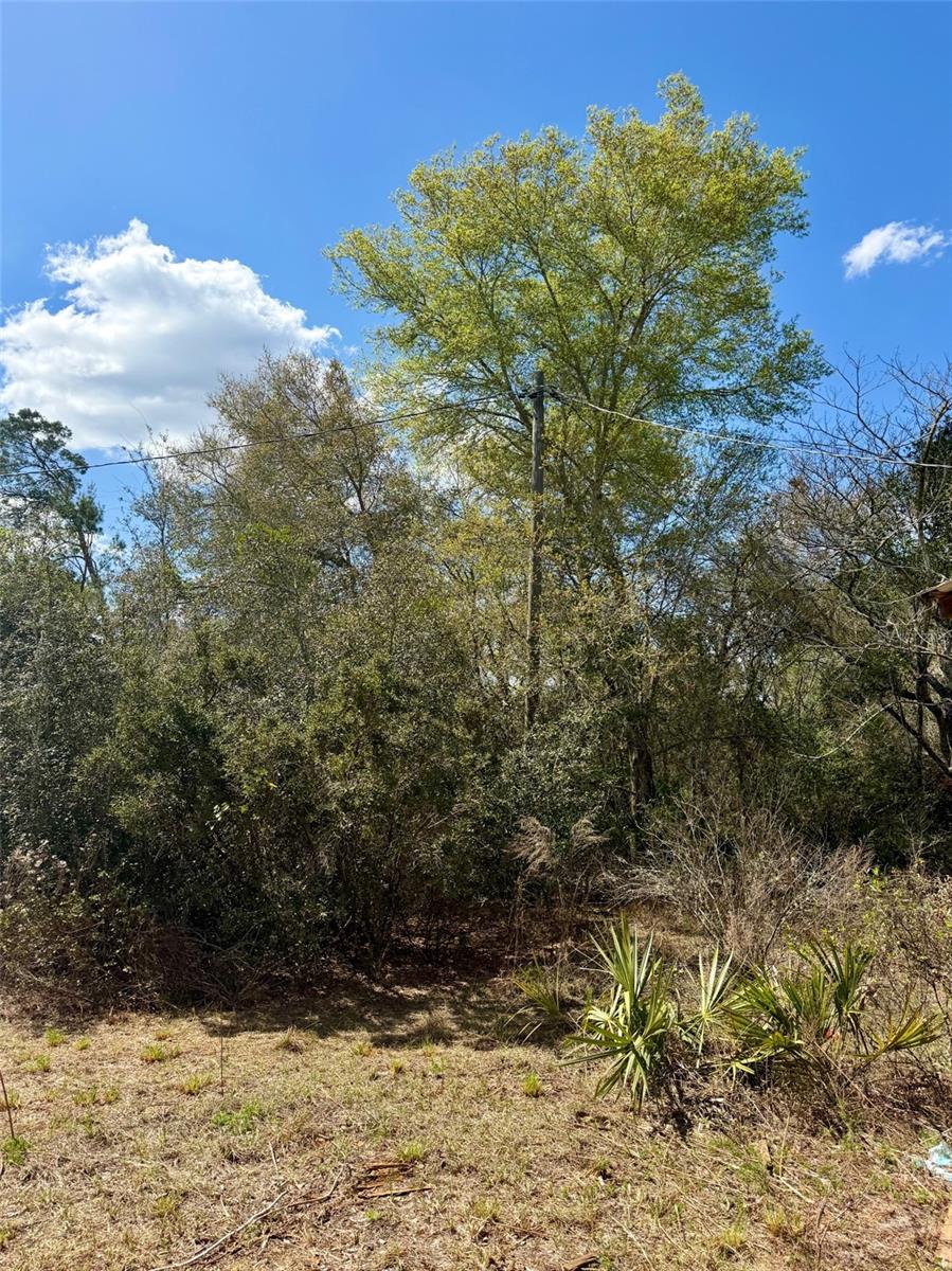 15575 NE 234TH Pl FORT MC COY, FL 32134