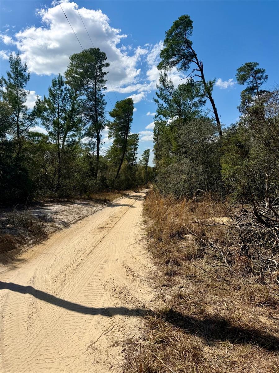 15575 NE 234TH Pl FORT MC COY, FL 32134