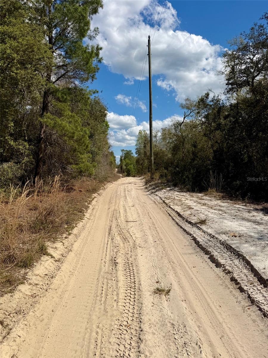 15575 NE 234TH Pl FORT MC COY, FL 32134