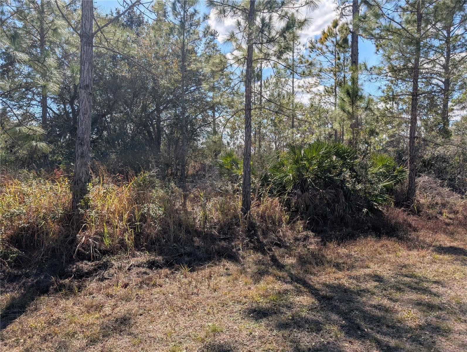 711 AZALEA Dr INDIAN LAKE ESTATES, FL 33855