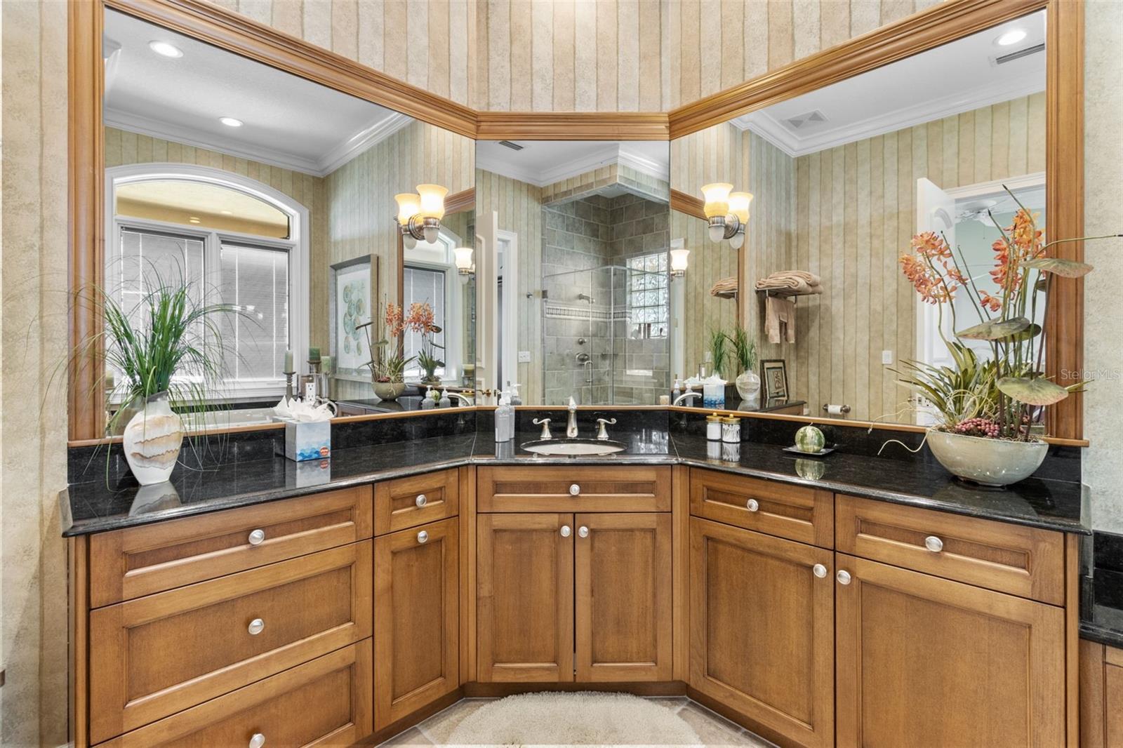 1737 BRIGHTWATERS Blvd ST PETERSBURG, FL 33704