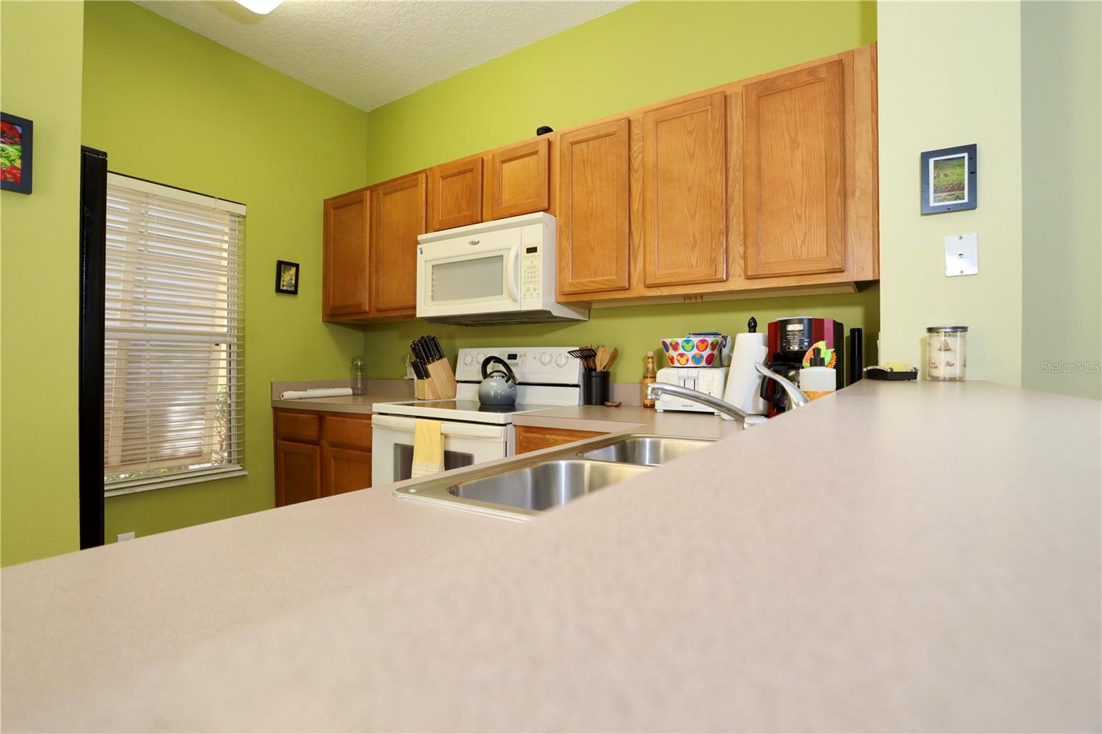 8503 BAY LILLY Cir KISSIMMEE, FL 34747