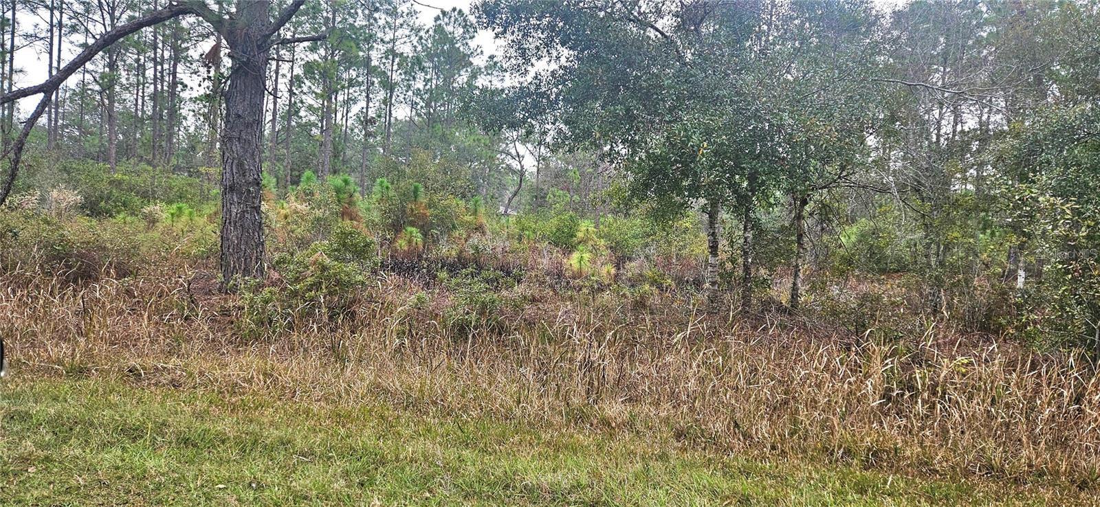 408 PANDORA Dr INDIAN LAKE ESTATES, FL 33855