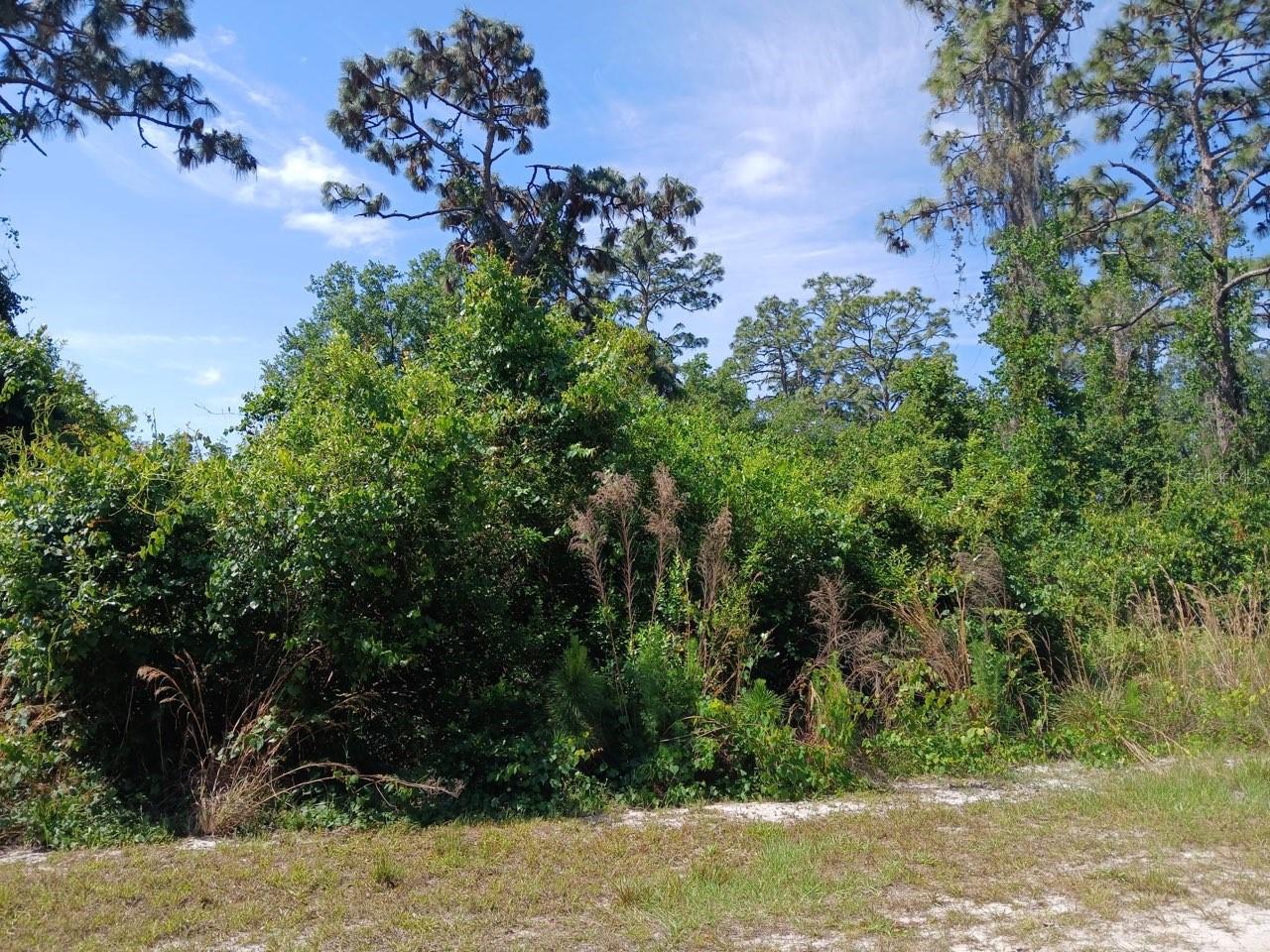 2810 IXORA Dr INDIAN LAKE ESTATES, FL 33855