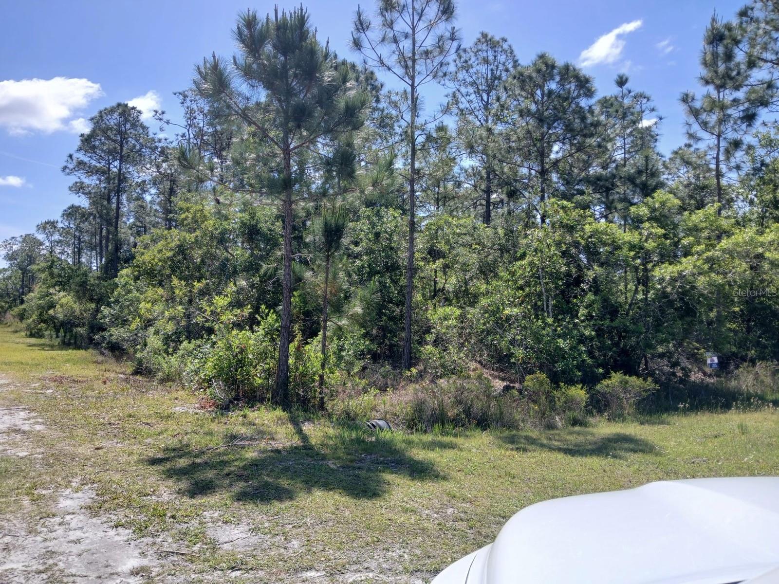 2810 IXORA Dr INDIAN LAKE ESTATES, FL 33855