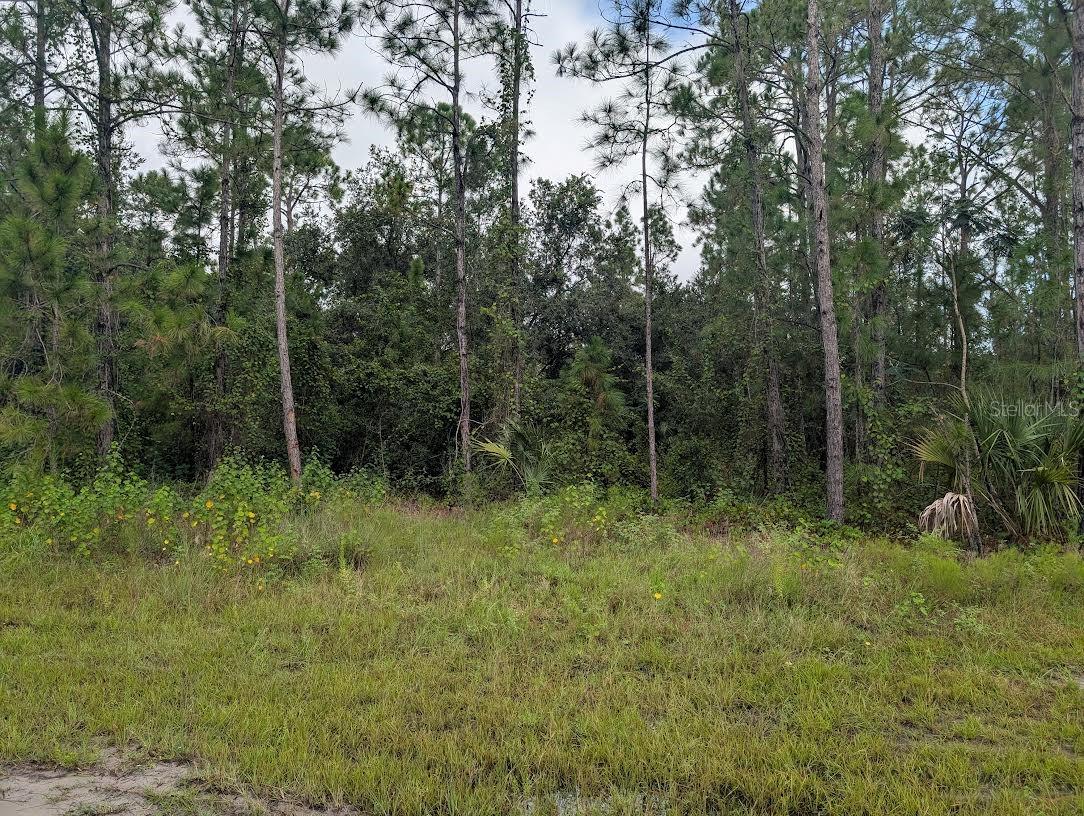 1122 POINCIANA Dr INDIAN LAKE ESTATES, FL 33855