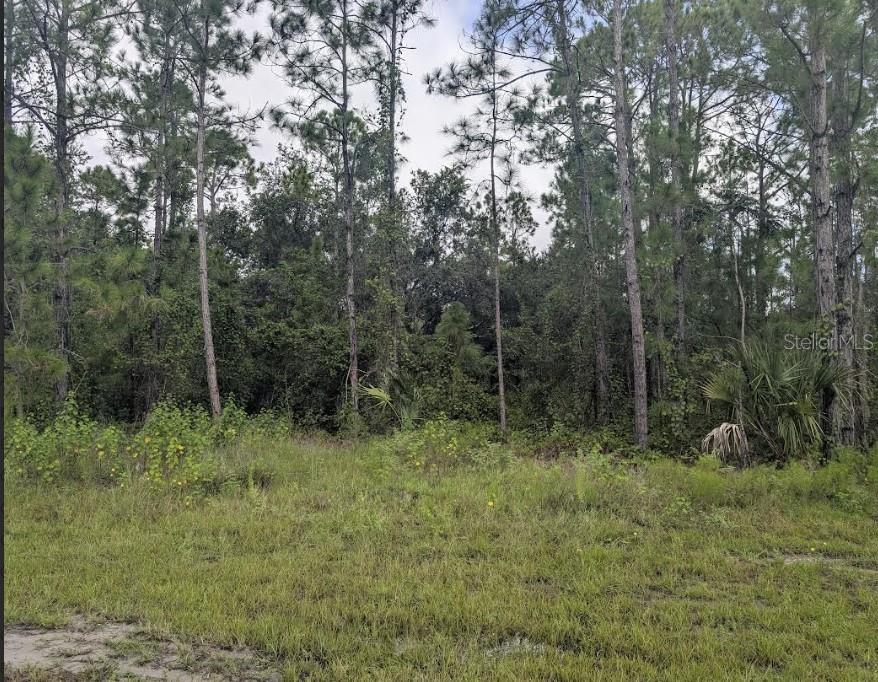 1122 POINCIANA Dr INDIAN LAKE ESTATES, FL 33855