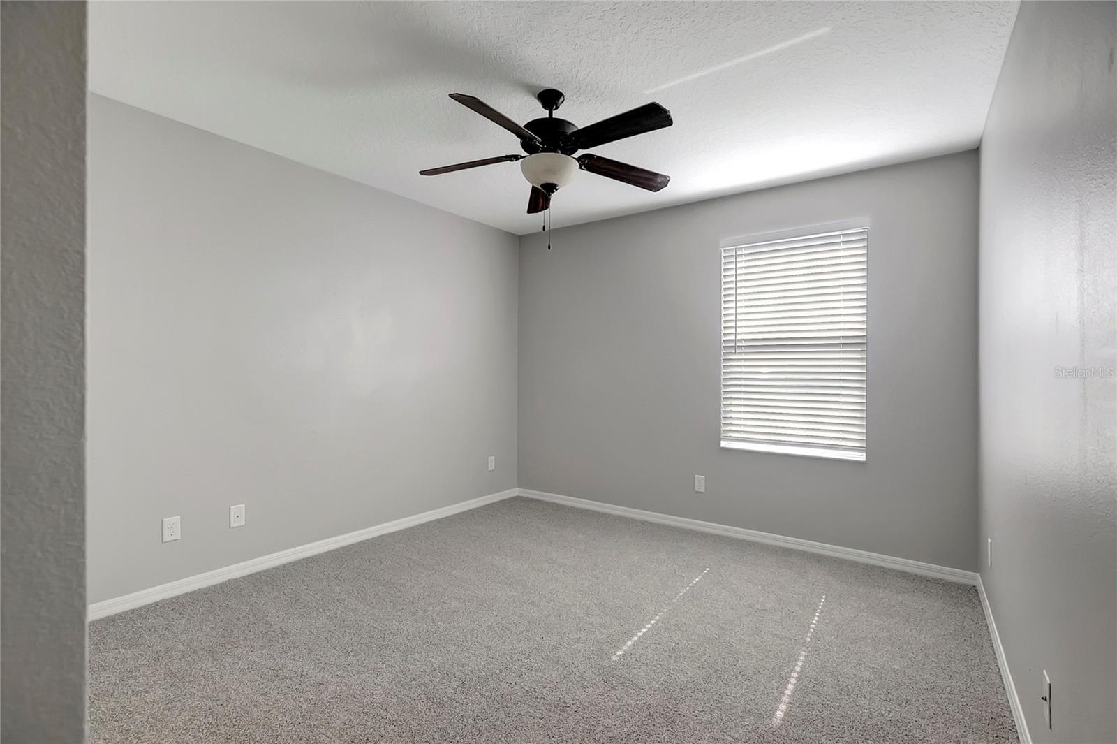 10653 PICTORIAL Park Dr TAMPA, FL 33647