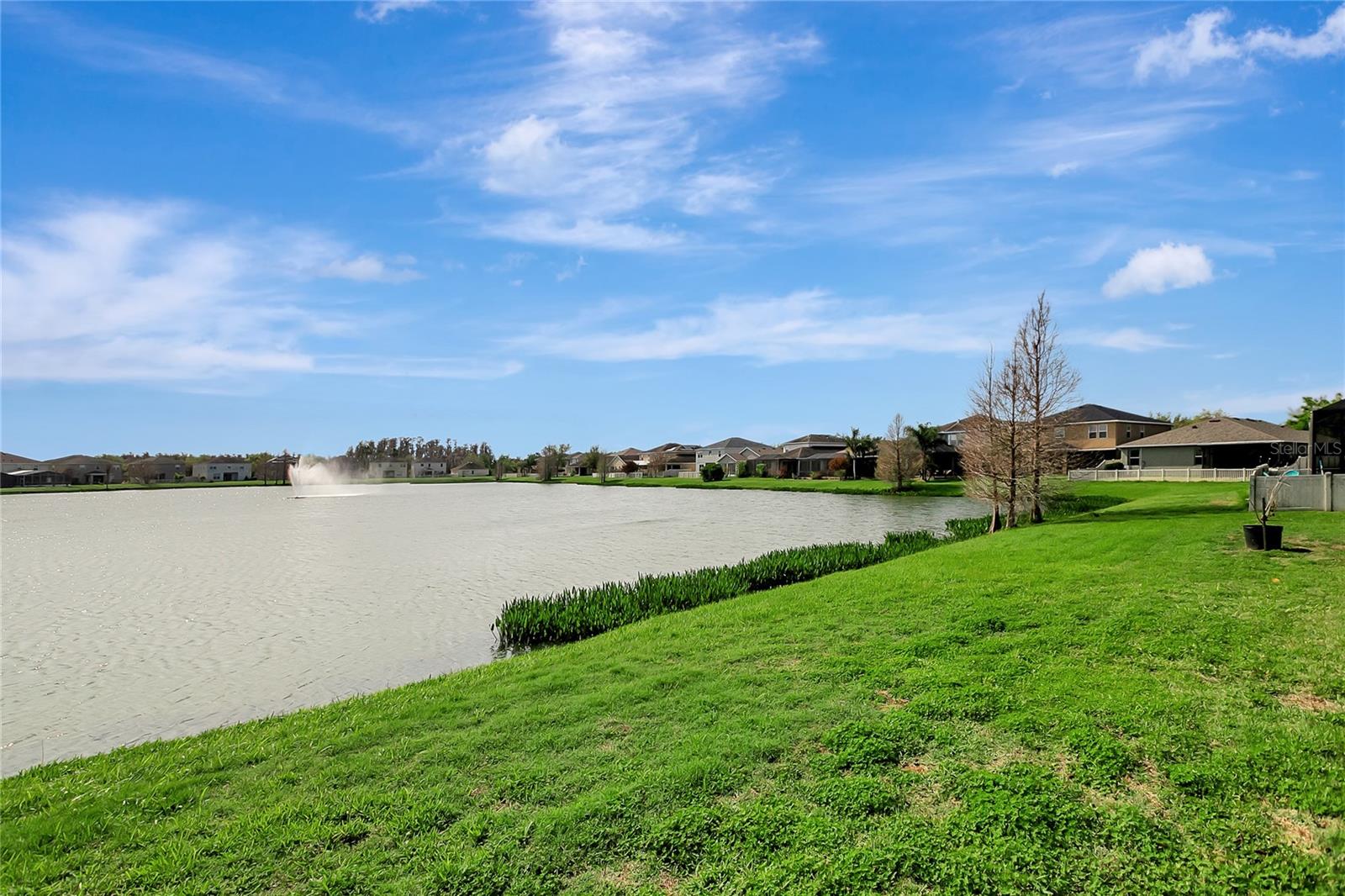 10653 PICTORIAL Park Dr TAMPA, FL 33647