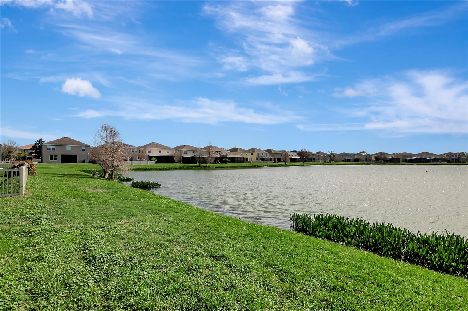 10653 PICTORIAL Park Dr TAMPA, FL 33647