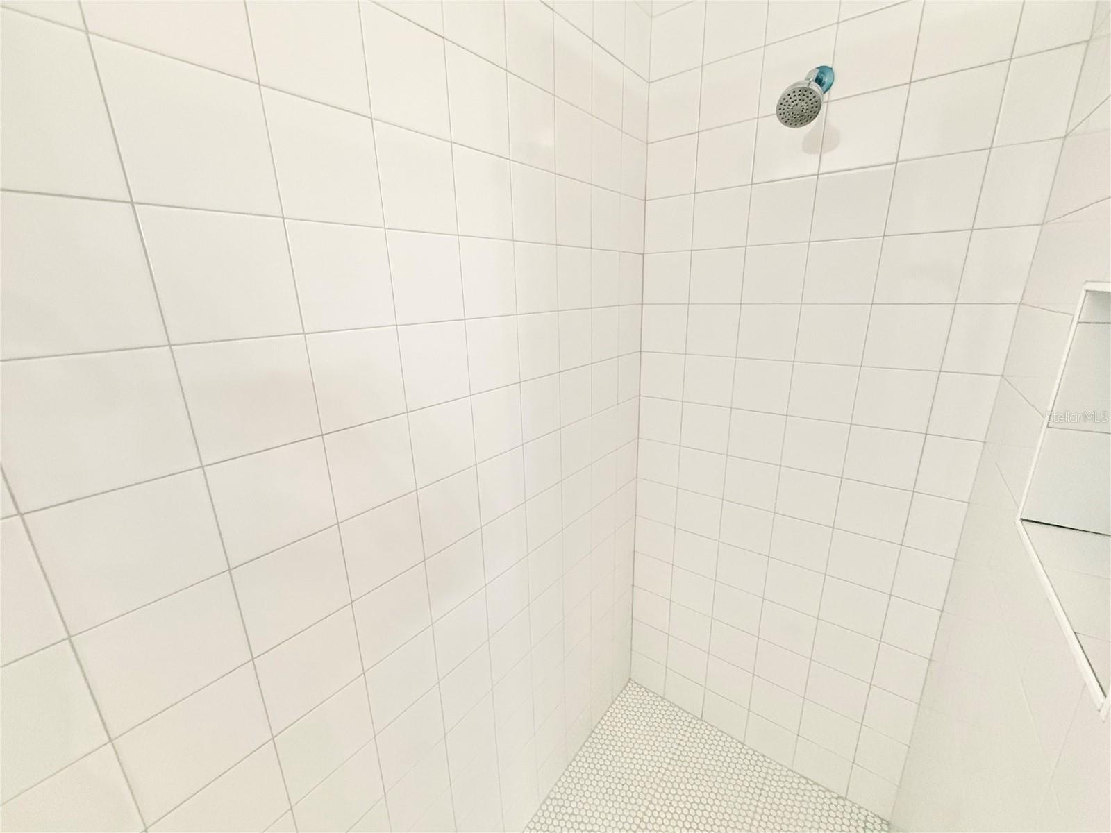 2494 TREMONT Dr EUSTIS, FL 32726