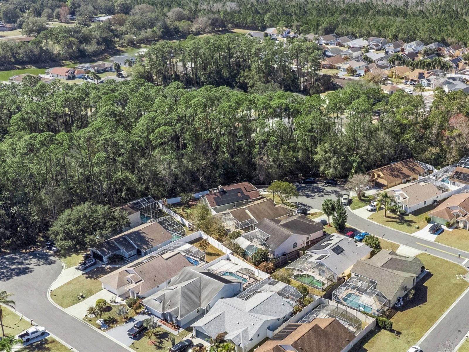 2201 CHAPPELL Ct KISSIMMEE, FL 34746