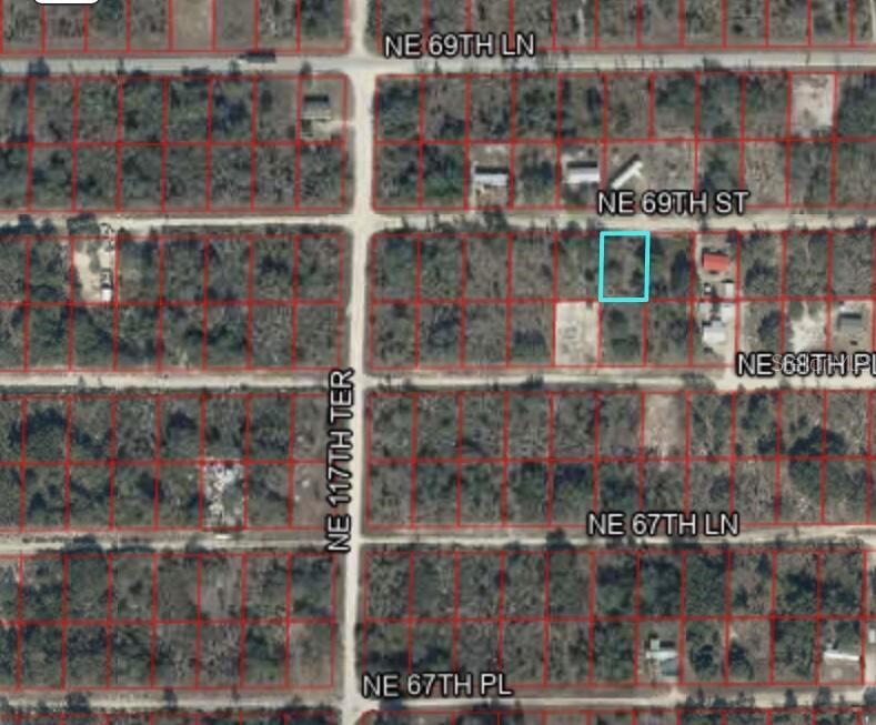 NE 69TH St WILLISTON, FL 32696