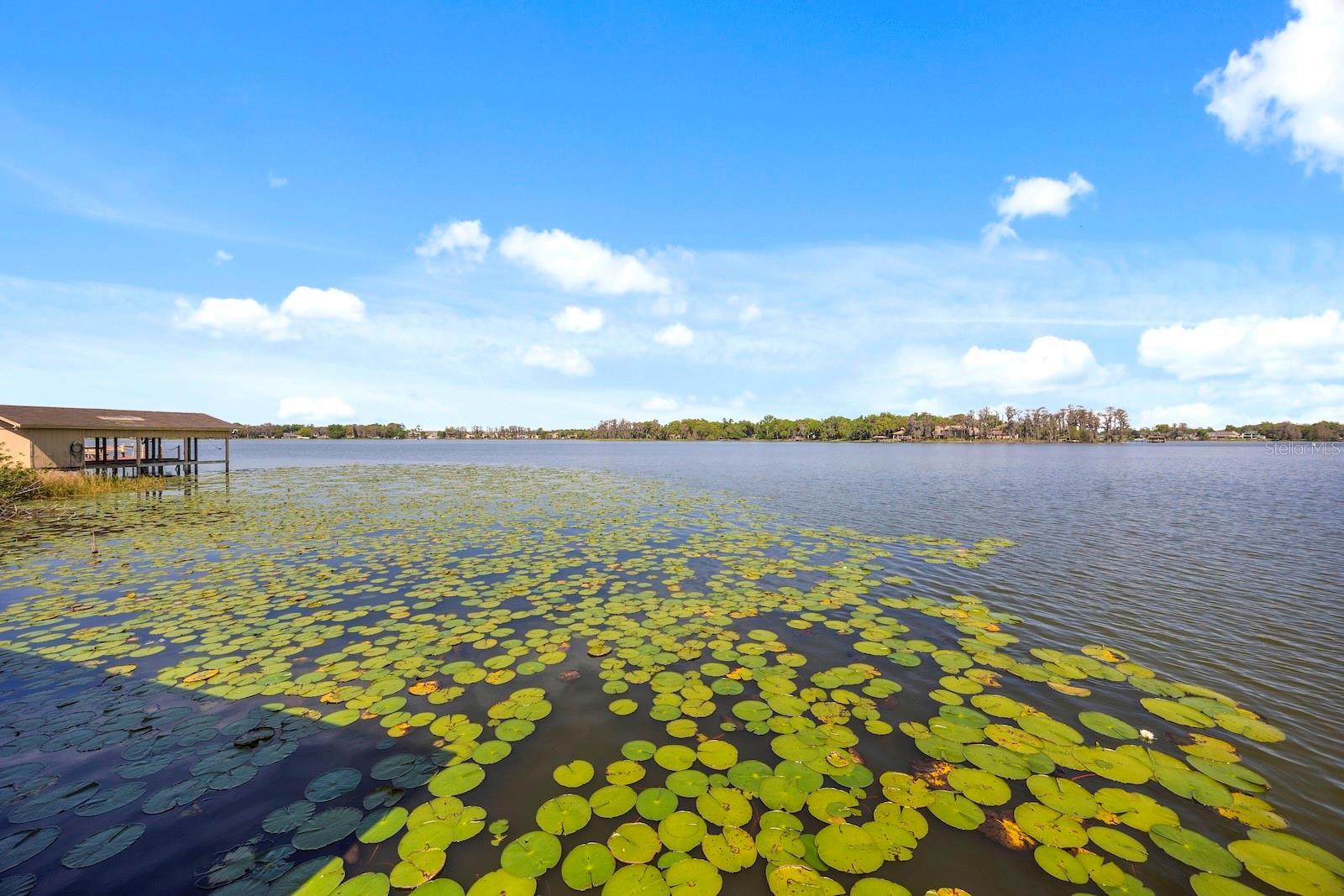 5400 KENMORE Ln ORLANDO, FL 32839