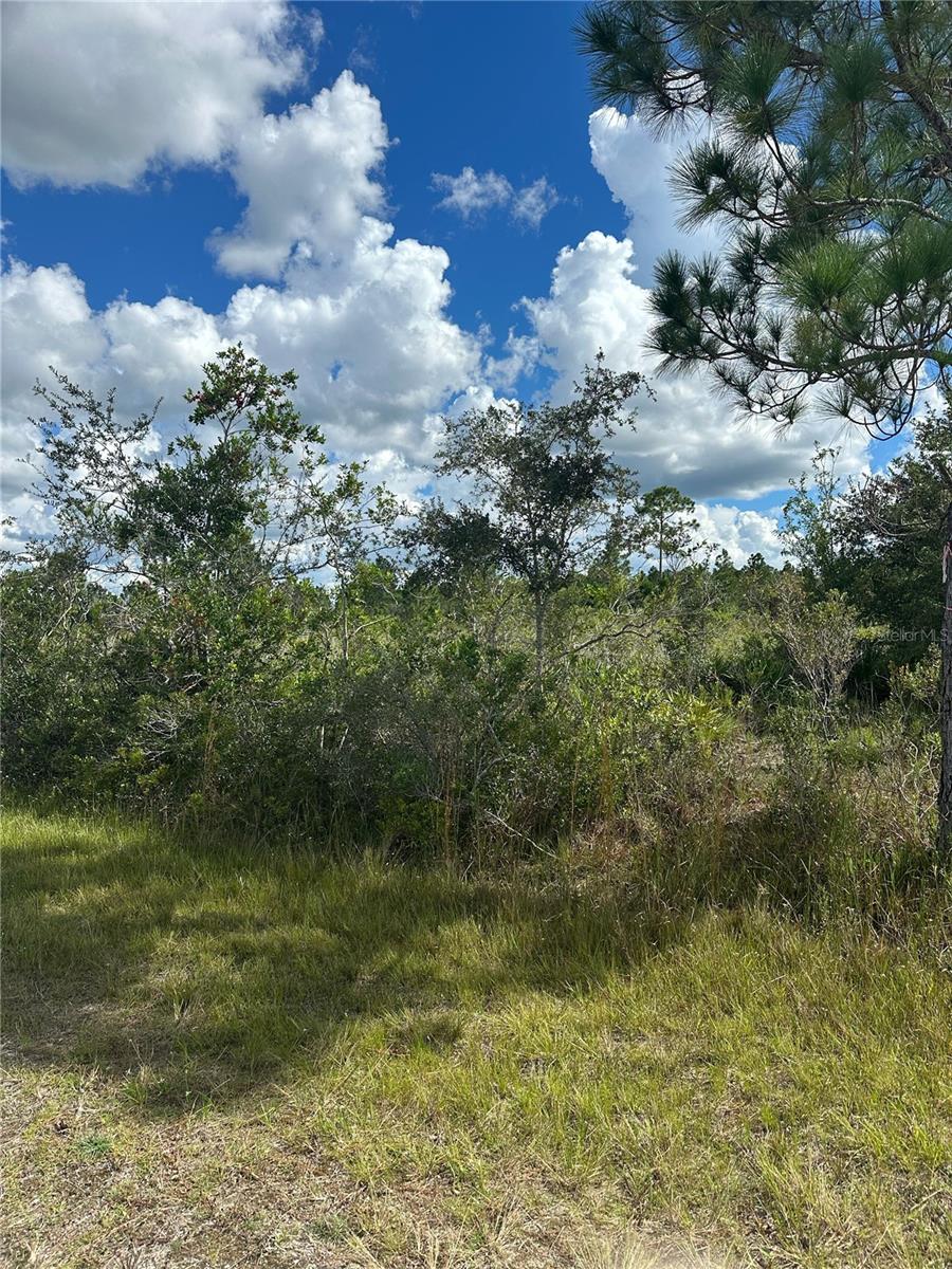 511 ALBA Dr INDIAN LAKE ESTATES, FL 33855