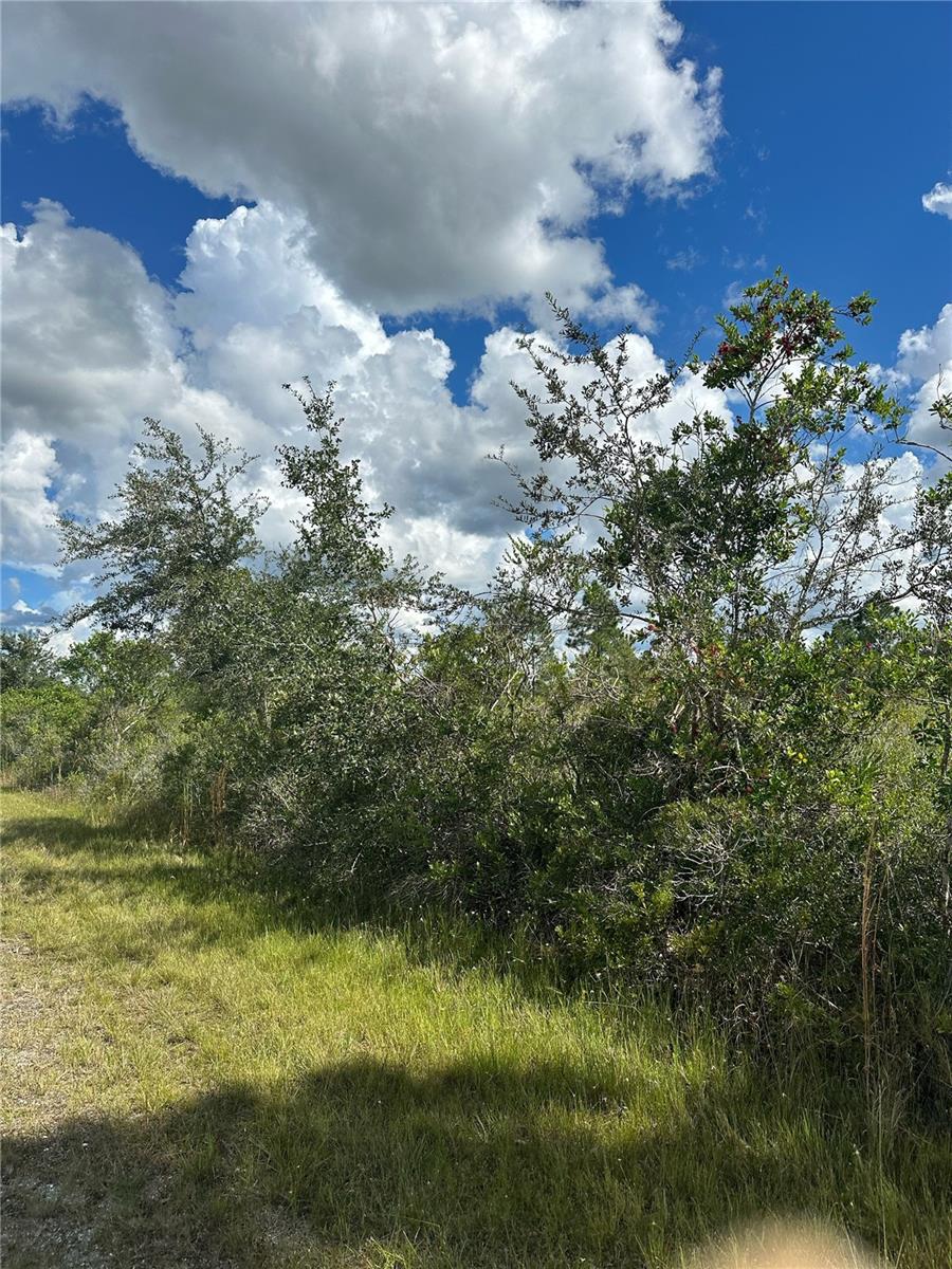 511 ALBA Dr INDIAN LAKE ESTATES, FL 33855