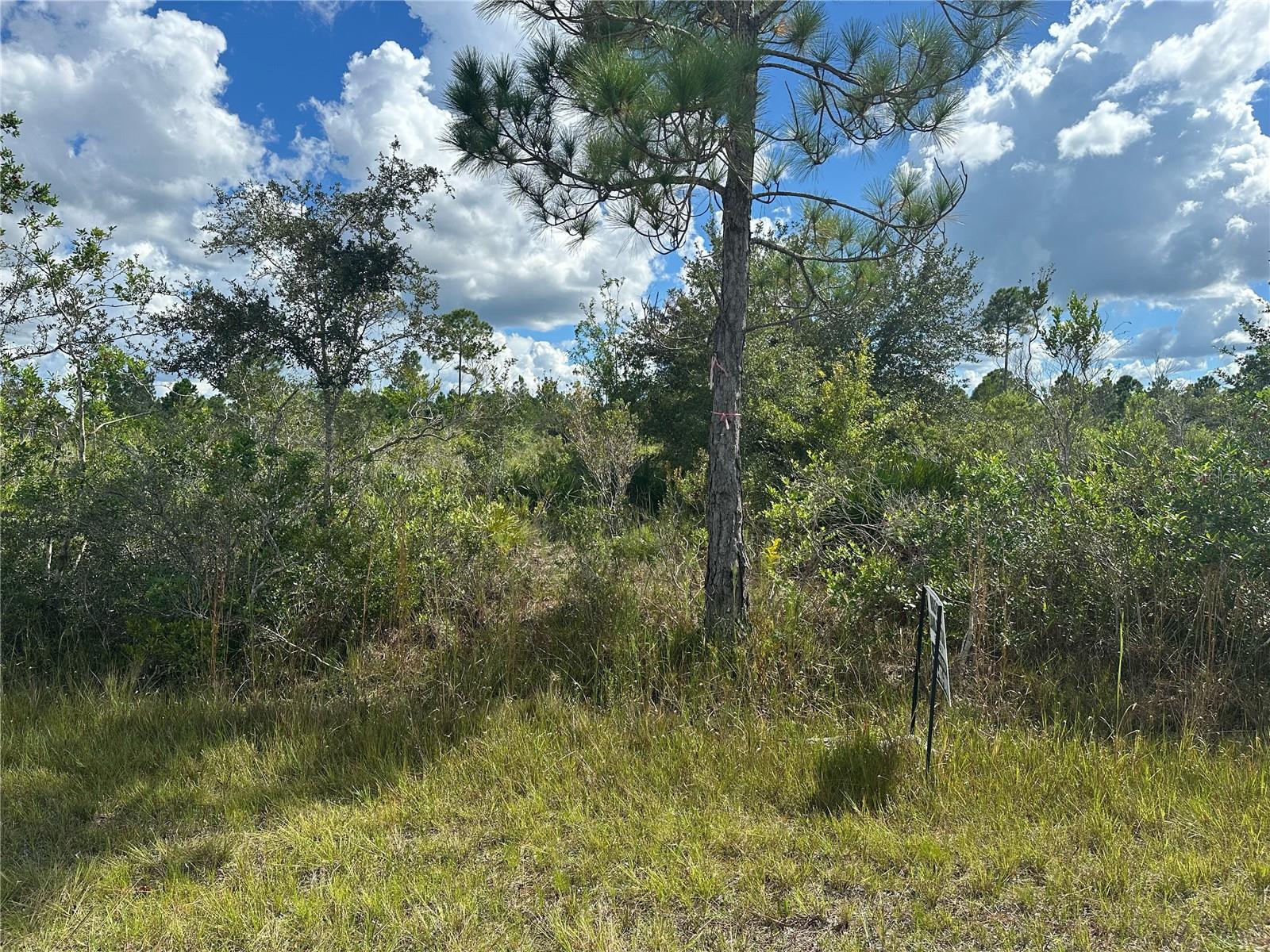 511 ALBA Dr INDIAN LAKE ESTATES, FL 33855