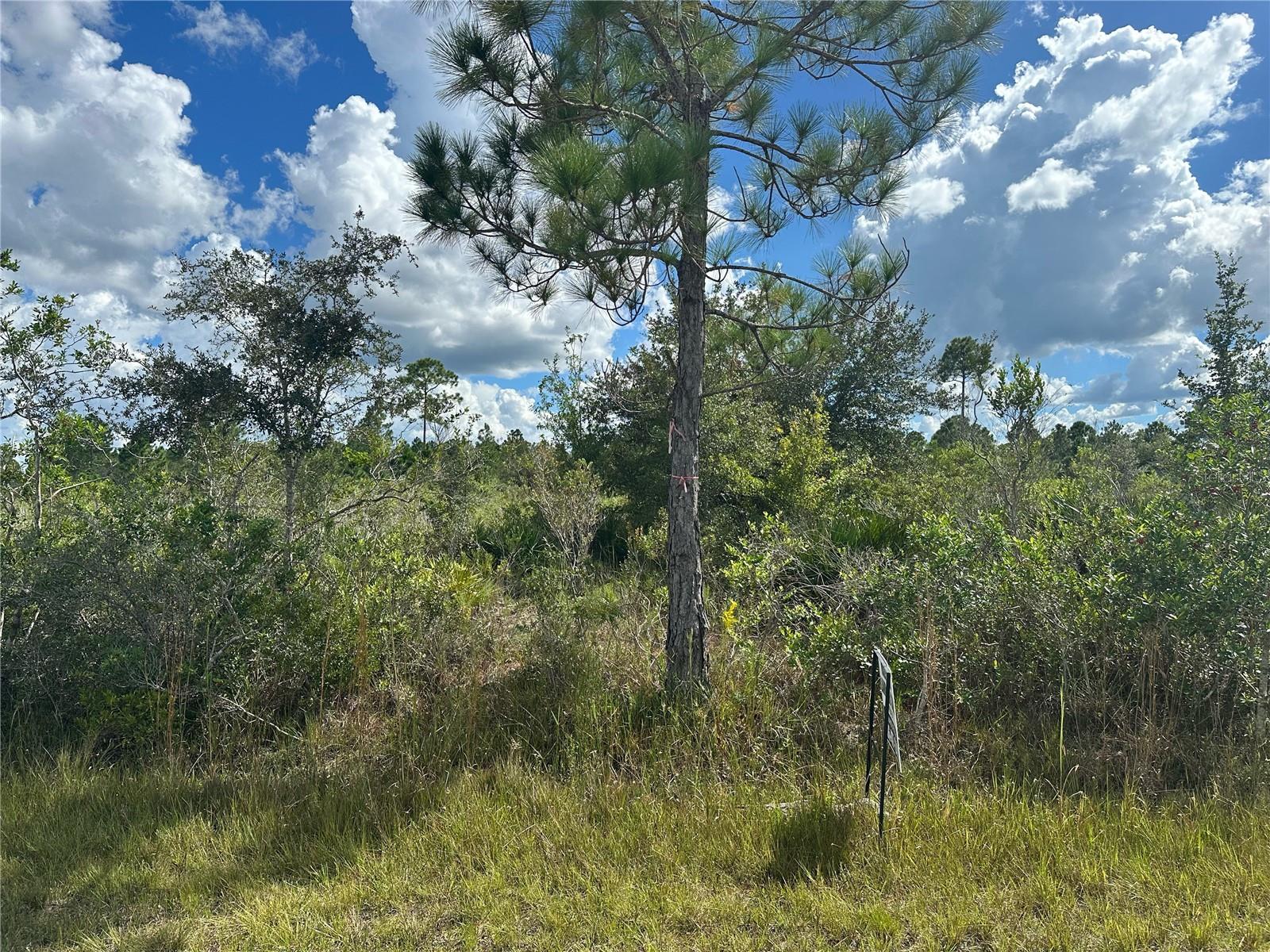 511 ALBA Dr INDIAN LAKE ESTATES, FL 33855