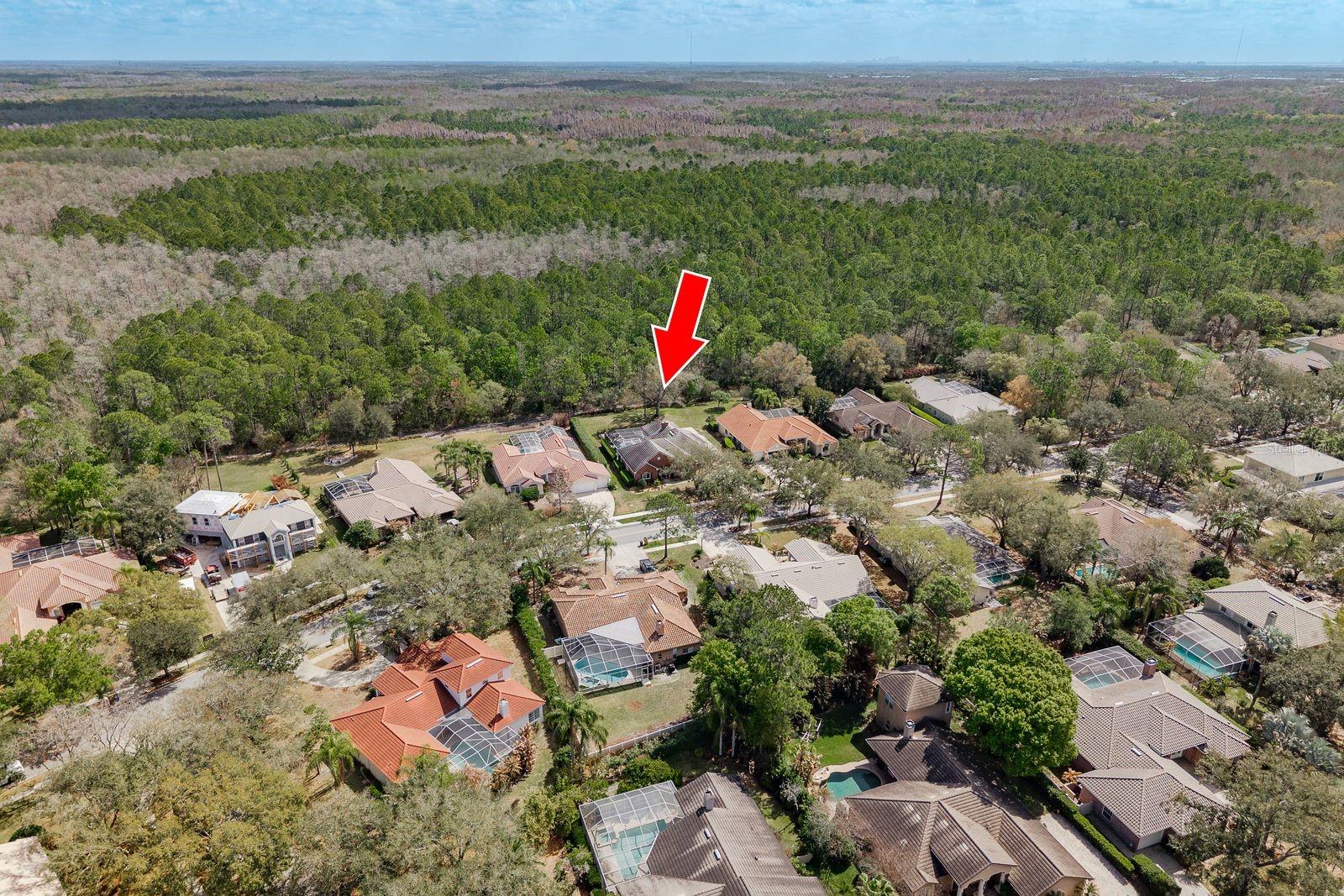 1499 E Lk WOODLANDS Pkwy OLDSMAR, FL 34677