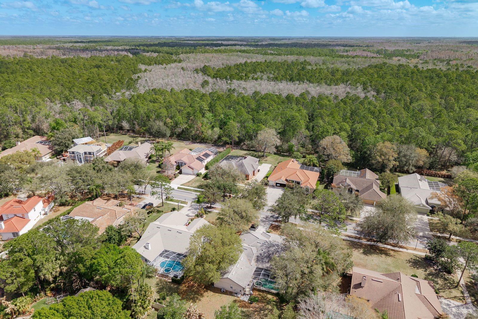 1499 E Lk WOODLANDS Pkwy OLDSMAR, FL 34677