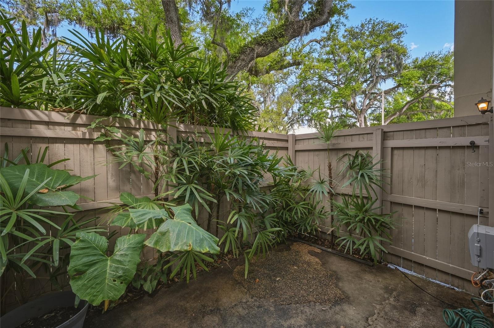 7912 CEDAR Dr #7912 TEMPLE TERRACE, FL 33637