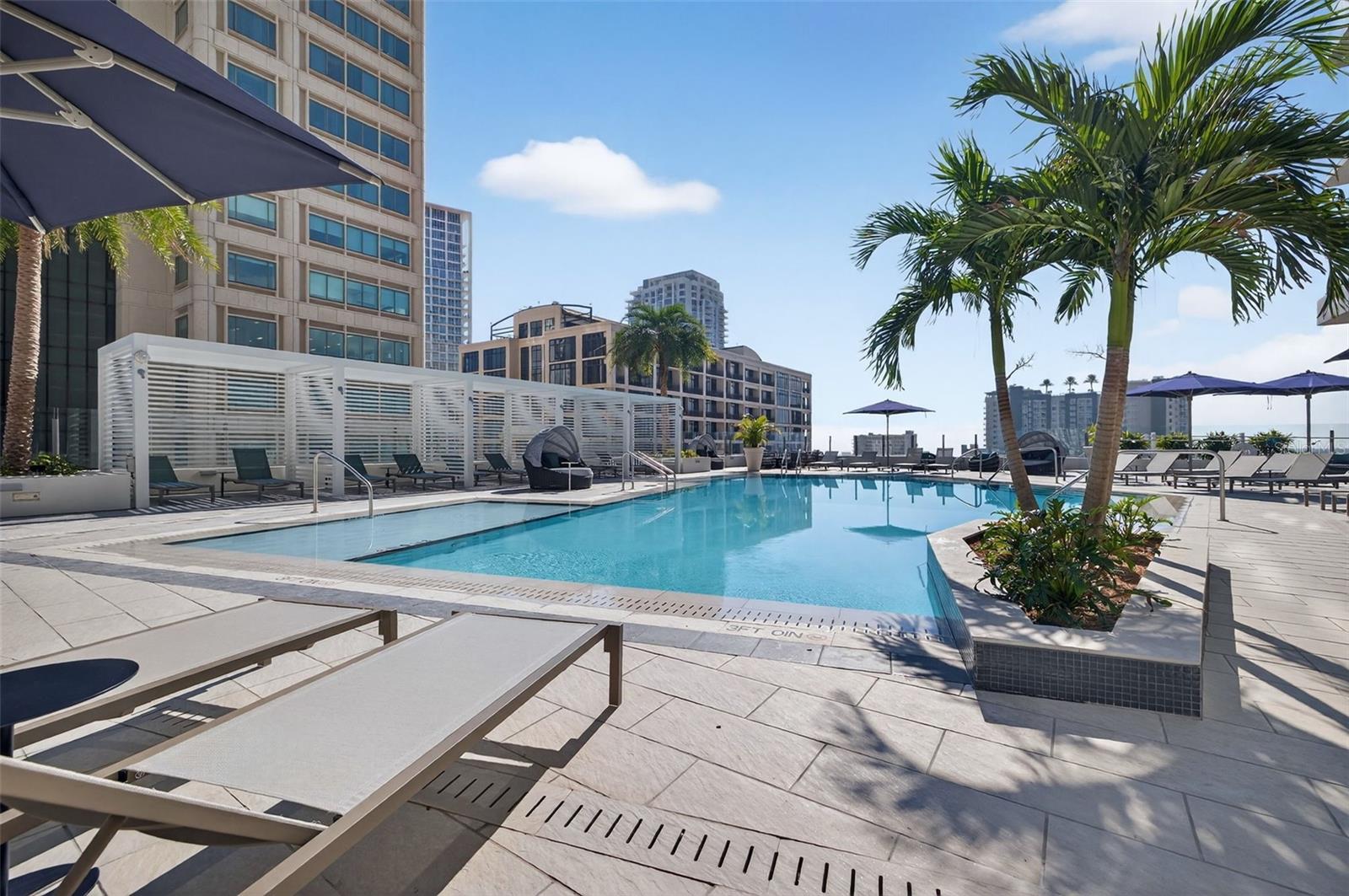 275 1ST Ave #2603 ST PETERSBURG, FL 33701